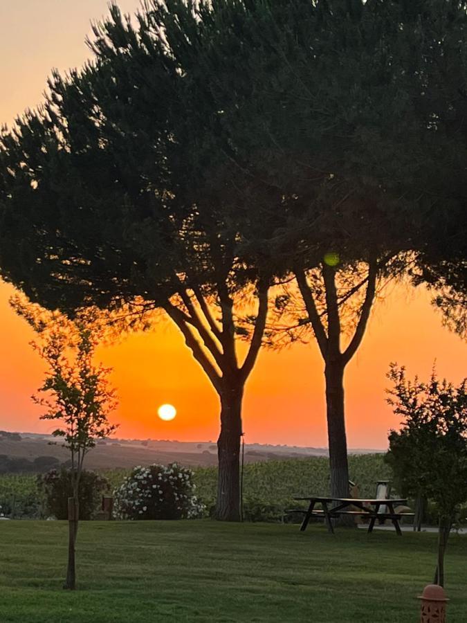 Quinta Da Amoreira Ferreira Do Alentejo Exteriör bild