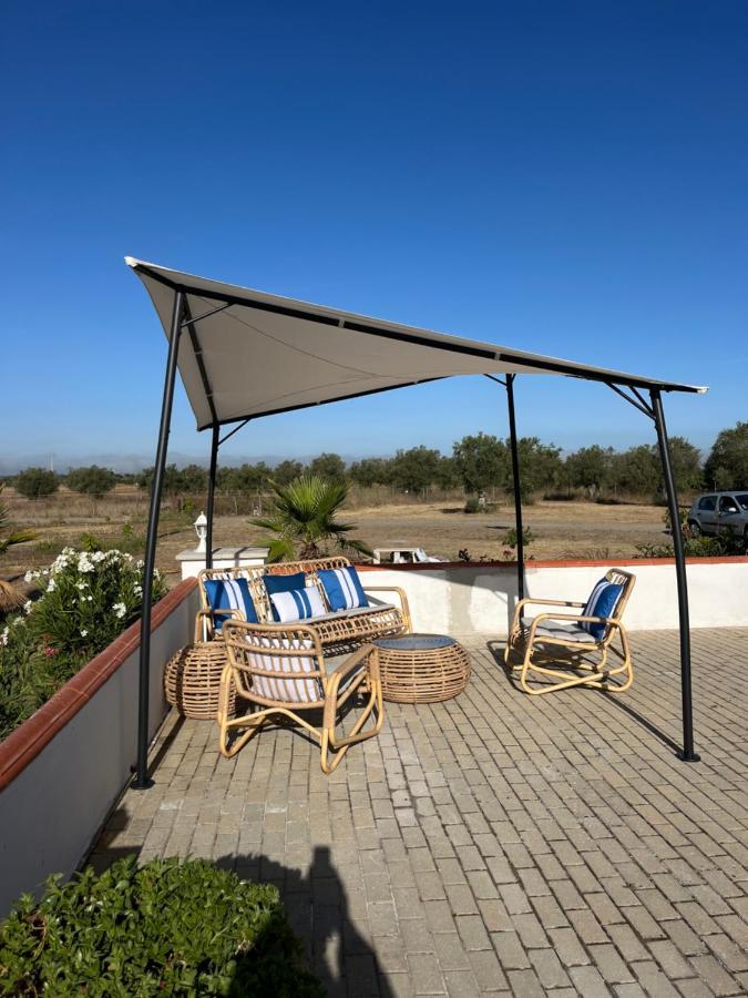 Quinta Da Amoreira Ferreira Do Alentejo Exteriör bild
