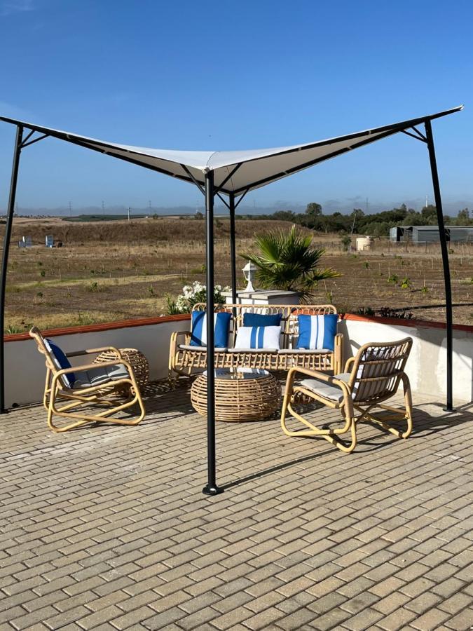 Quinta Da Amoreira Ferreira Do Alentejo Exteriör bild