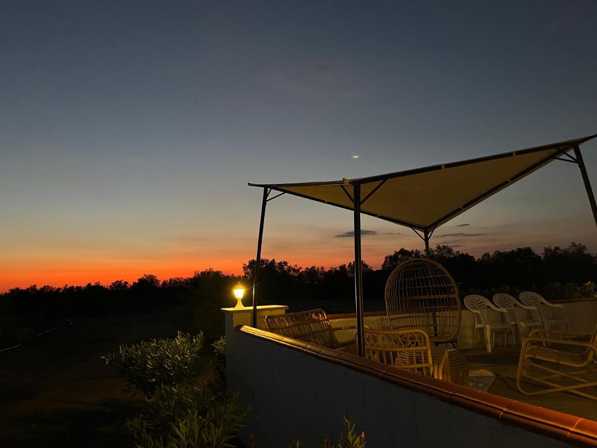 Quinta Da Amoreira Ferreira Do Alentejo Exteriör bild