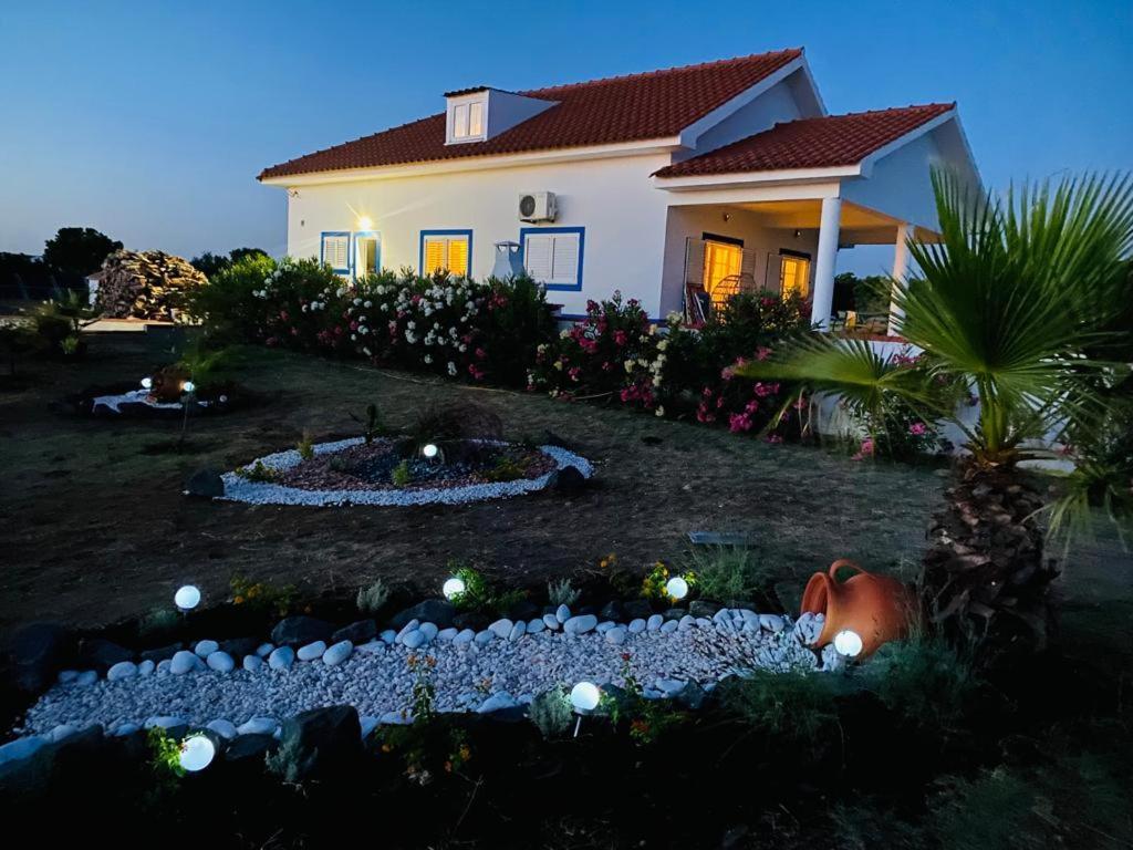 Quinta Da Amoreira Ferreira Do Alentejo Exteriör bild